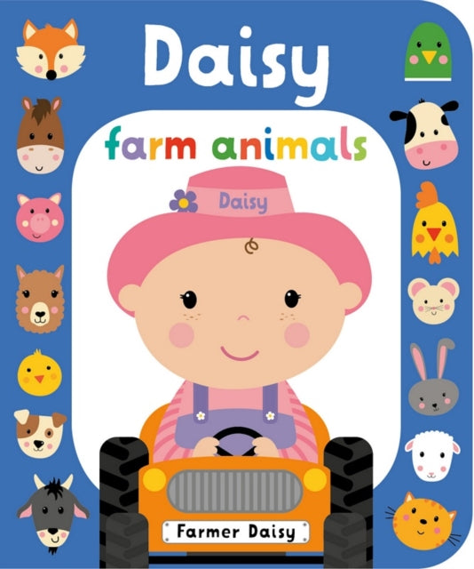 Farm Daisy