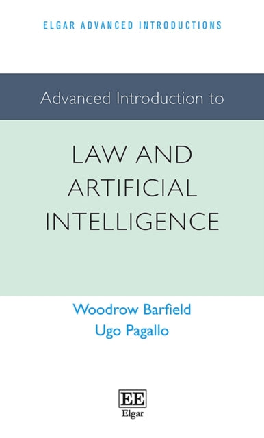 Advanced Introduction to Law and Artificial Intelligence