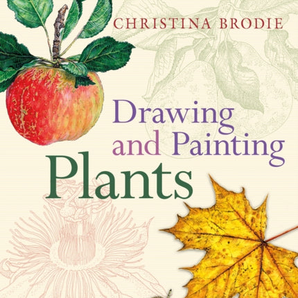 Drawing and Painting Plants