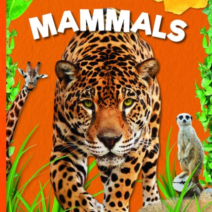 Mammals