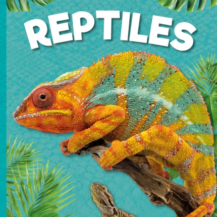 Reptiles