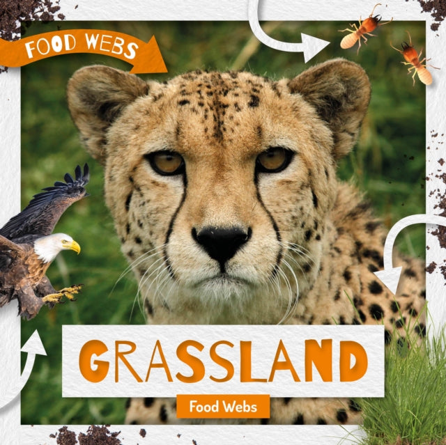 Grassland Food Webs