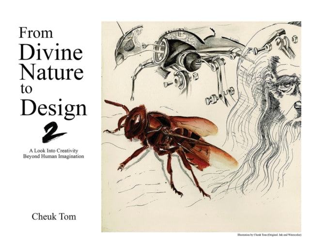 From Divine Nature to Design 2: A Look Into