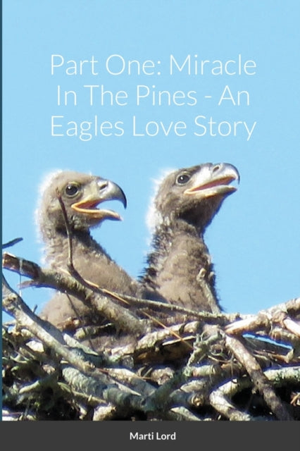 Part One: Miracle In The Pines - An Eagles Love