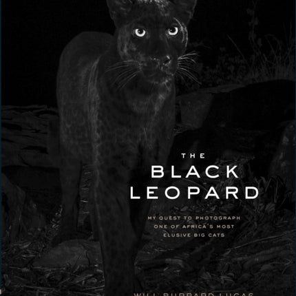 The Black Leopard: My Quest to Photograph One of Africa’s Most Elusive Big Cats