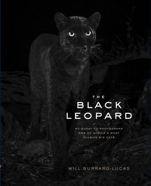 The Black Leopard: My Quest to Photograph One of Africa’s Most Elusive Big Cats