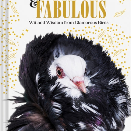 Feathered  Fabulous Wit and Wisdom from Glamorous Birds