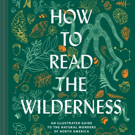 How to Read the Wilderness: An Illustrated Guide to North American Flora and Fauna