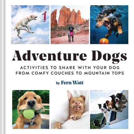 Adventure Dogs: Activities to Share with Your Dog—from Comfy Couches to Mountain Tops