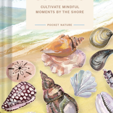 Pocket Nature: Beachcombing: Cultivate Mindful Moments by the Sea