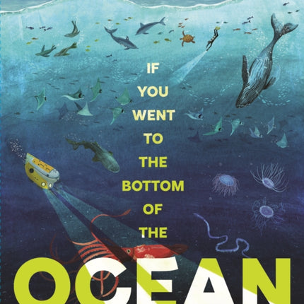 If You Went to the Bottom of the Ocean