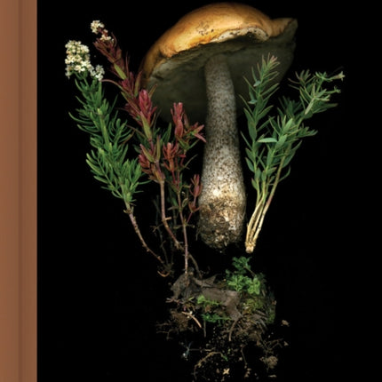 Deep Dark Forest Mushroom Journal