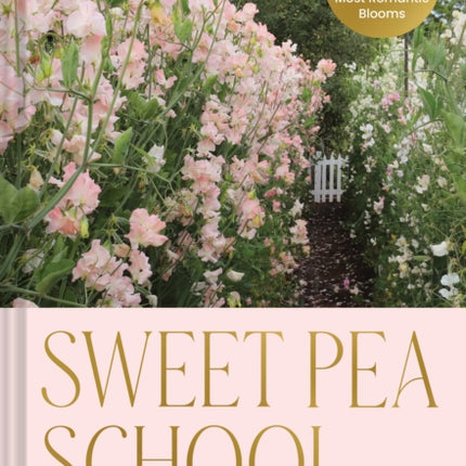 Sweet Pea School