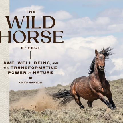 The Wild Horse Effect