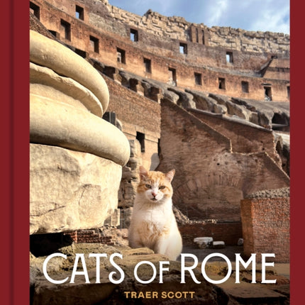 Cats of Rome