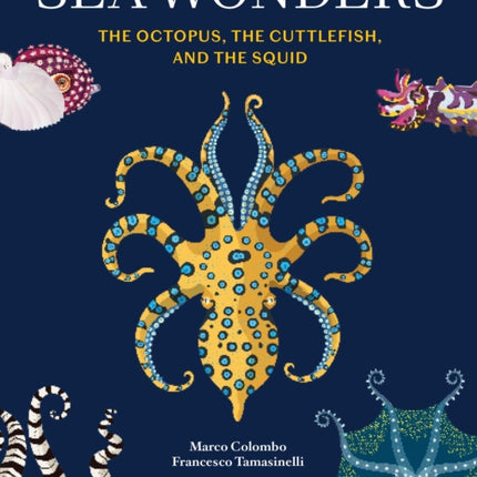 Sea Wonders