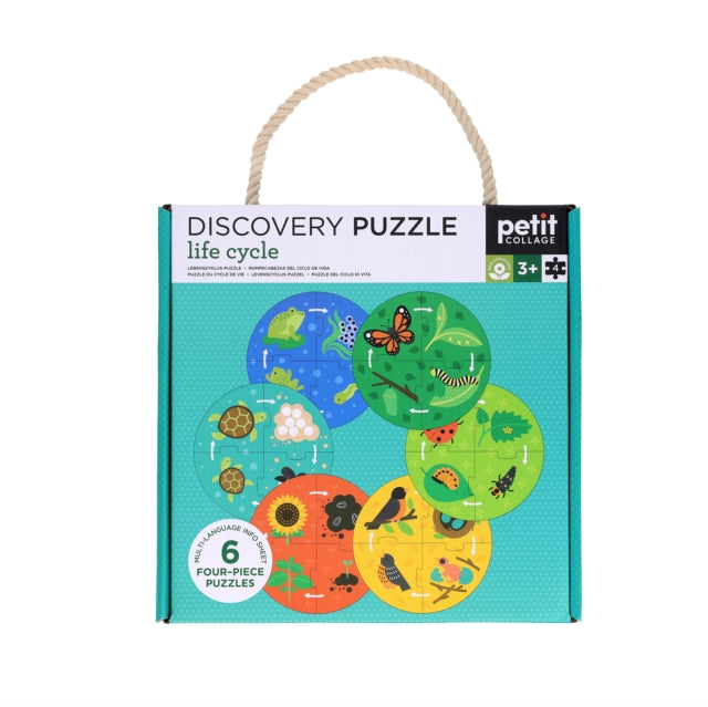 Discovery Puzzle Life Cycle