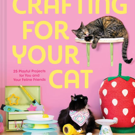 Crafting for Your Cat
