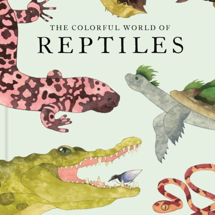 The Colorful World of Reptiles