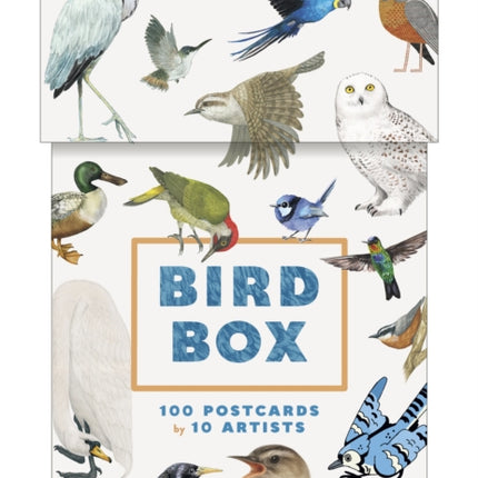 Bird Box 100 Postcards by 10 Artists