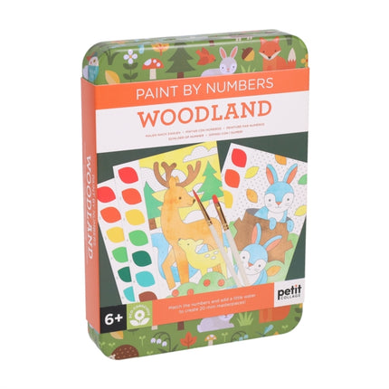 Paint by Numbers Woodland