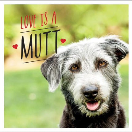 Love is a Mutt: A Dog-Tastic Celebration of the World's Cutest Mixed and Cross Breeds