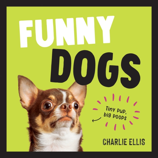 Funny Dogs: A Hilarious Collection of the World’s Silliest Dogs and Most Relatable Memes