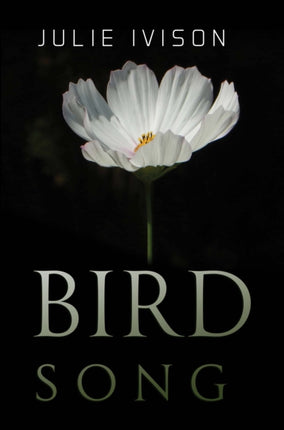 Bird Song