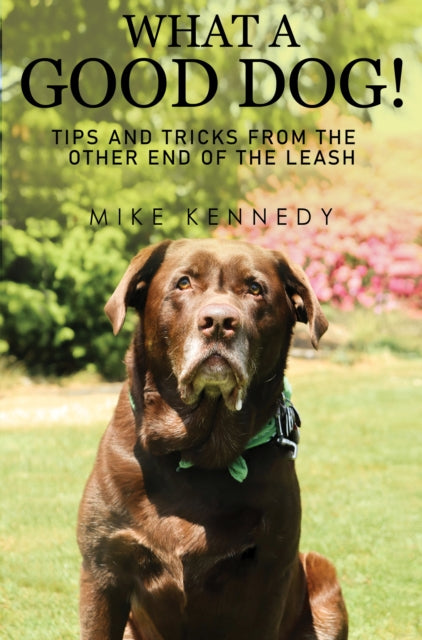 What a Good Dog Tips and Tricks from the Other
