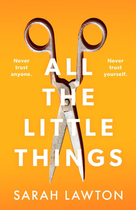 All The Little Things: A tense and gripping