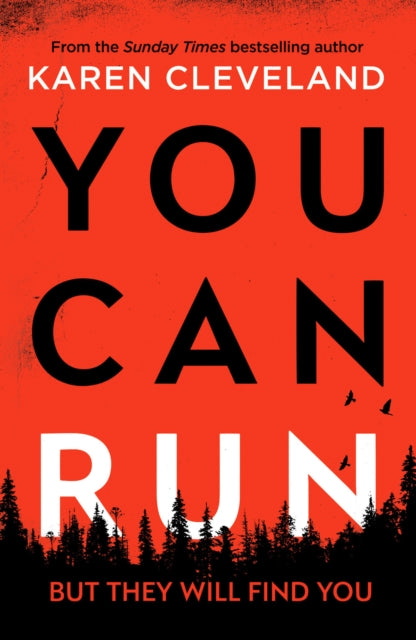 You Can Run: An unputdownable thriller