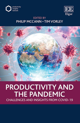 Productivity and the Pandemic: Challenges and Insights from Covid-19