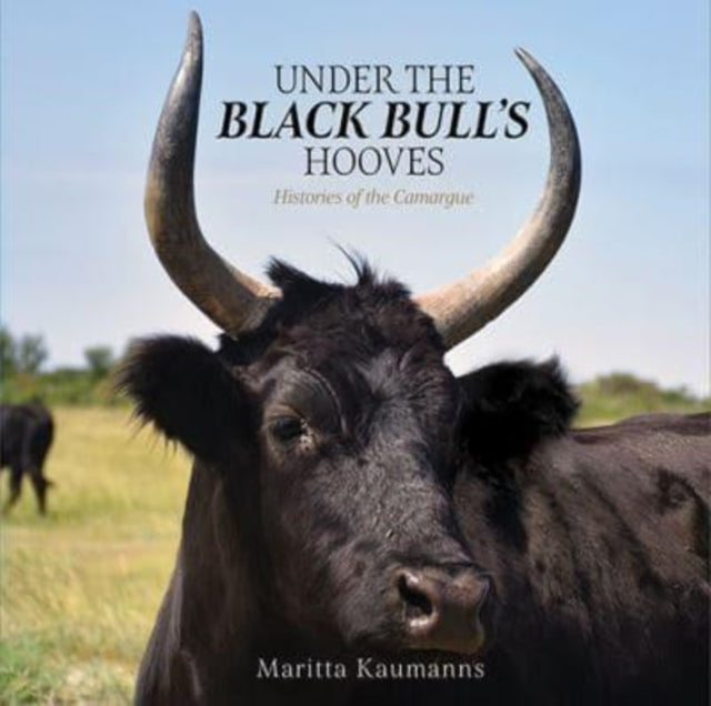 Under the Black Bull’s Hooves: Histories of the Camargue