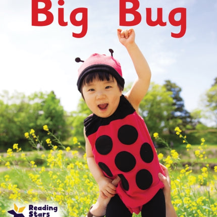 Big Bug: Phase 2