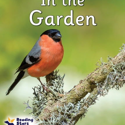 In the Garden: Phase 4