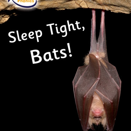 Sleep Tight, Bats!: Phase 4