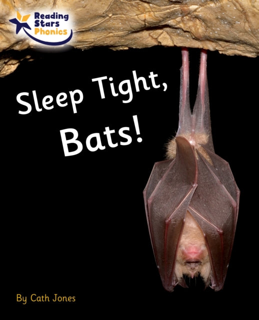 Sleep Tight, Bats!: Phase 4