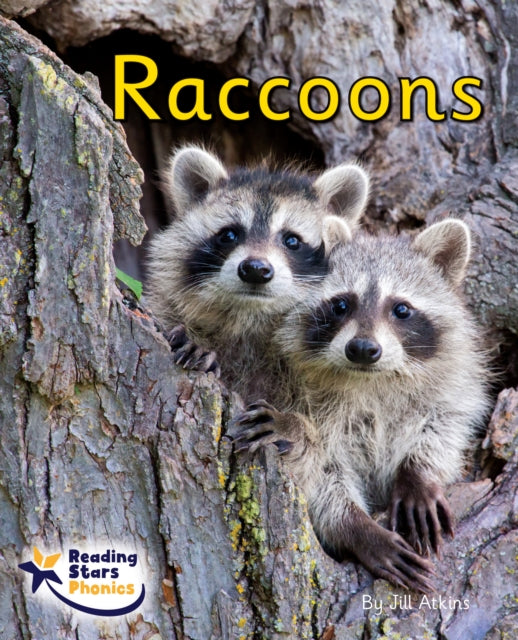 Raccoons: Phase 4