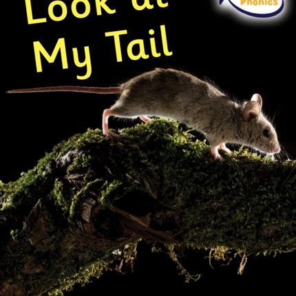 Look at My Tail: Phase 5