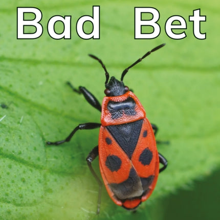 Bad Bet