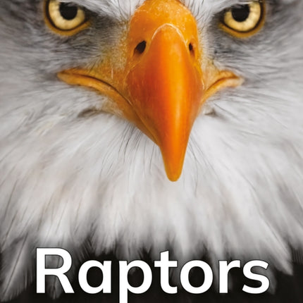 Raptors