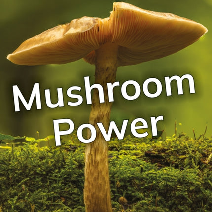 Mushroom Power