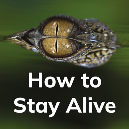 How to Stay Alive