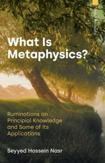 What Is Metaphysics