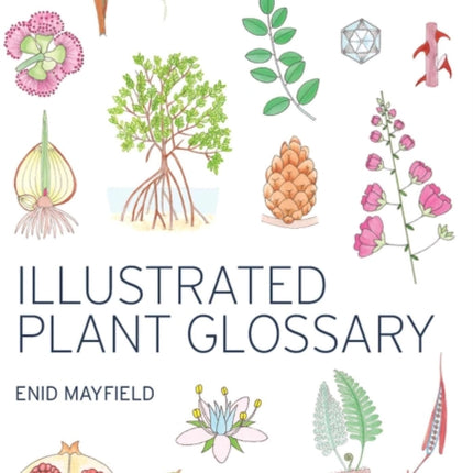 Illustrated Plant Glossary