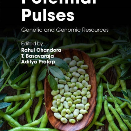 Potential Pulses