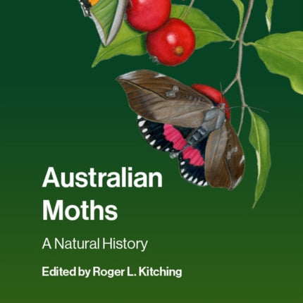 Australian Moths