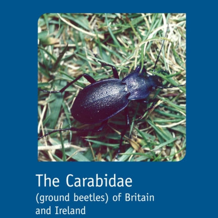 The Carabidae ground beetles of Britain and Ireland