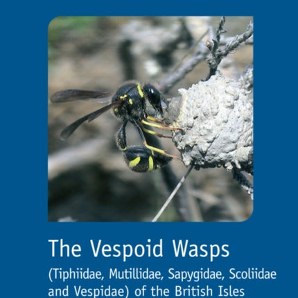 The Vespoid Wasps Tiphiidae Mutillidae Sapygidae