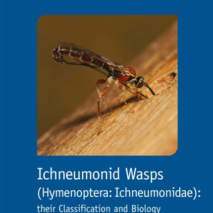 Ichneumonid Wasps Hymenoptera Ichneumonidae
